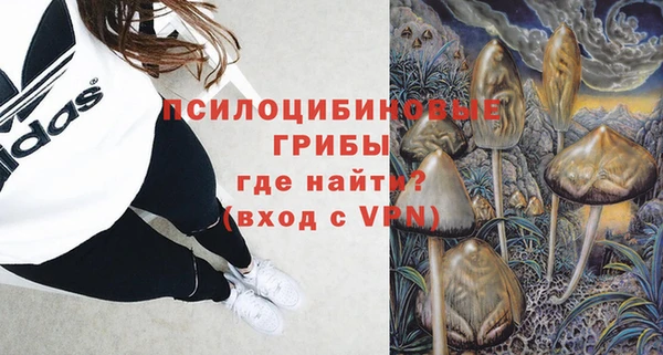 хмурый Зеленокумск