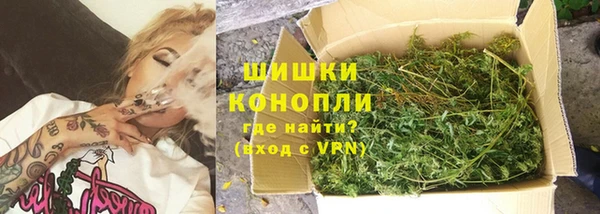 хмурый Зеленокумск