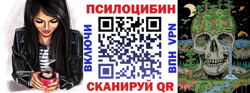 Галлюциногенные грибы Psilocybe  Купить  Вельск 