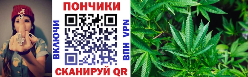 Купить где  Вельск  Бошки марихуана SATIVA & INDICA 